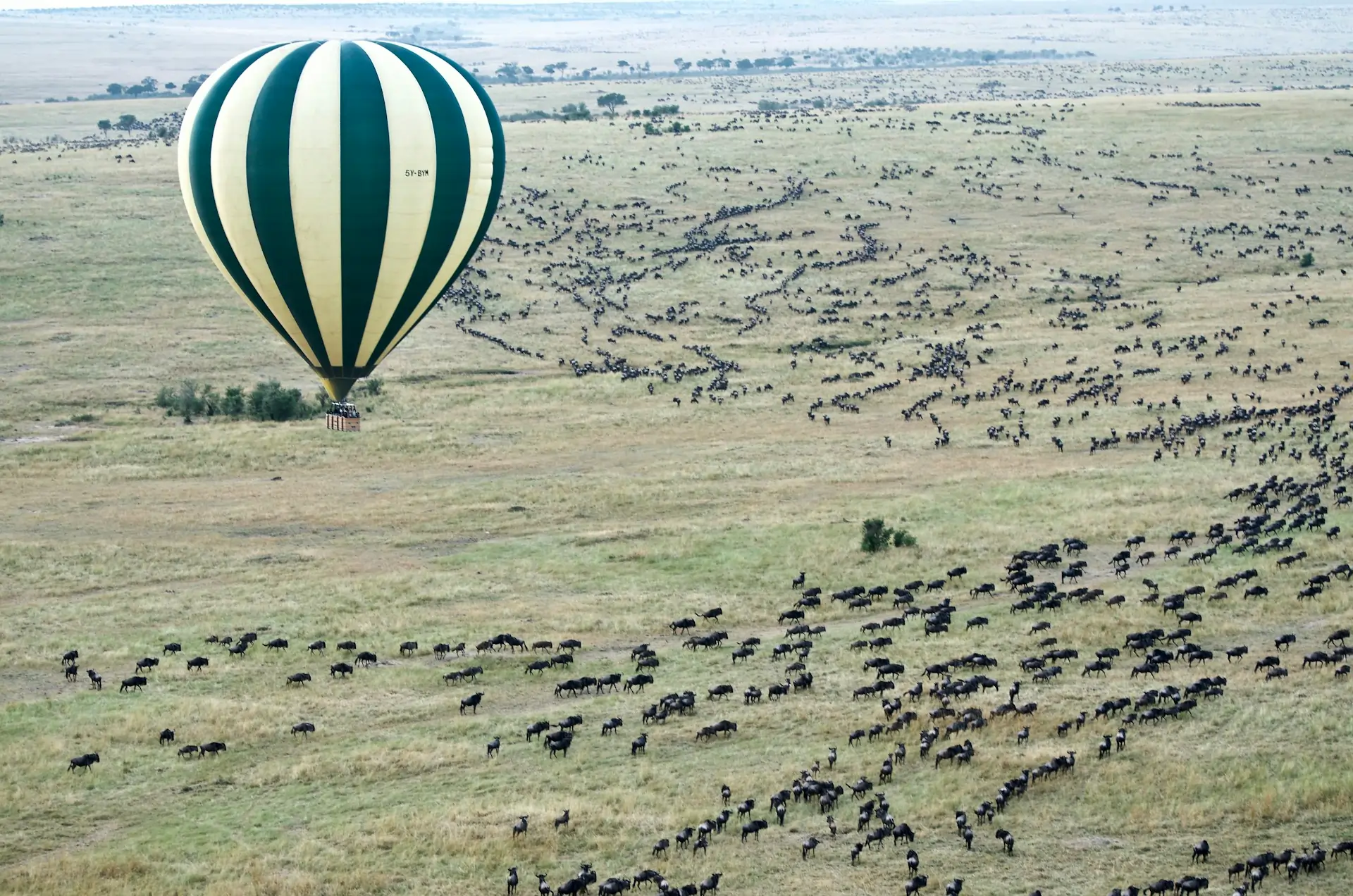 Hot Air Balloon Safaris