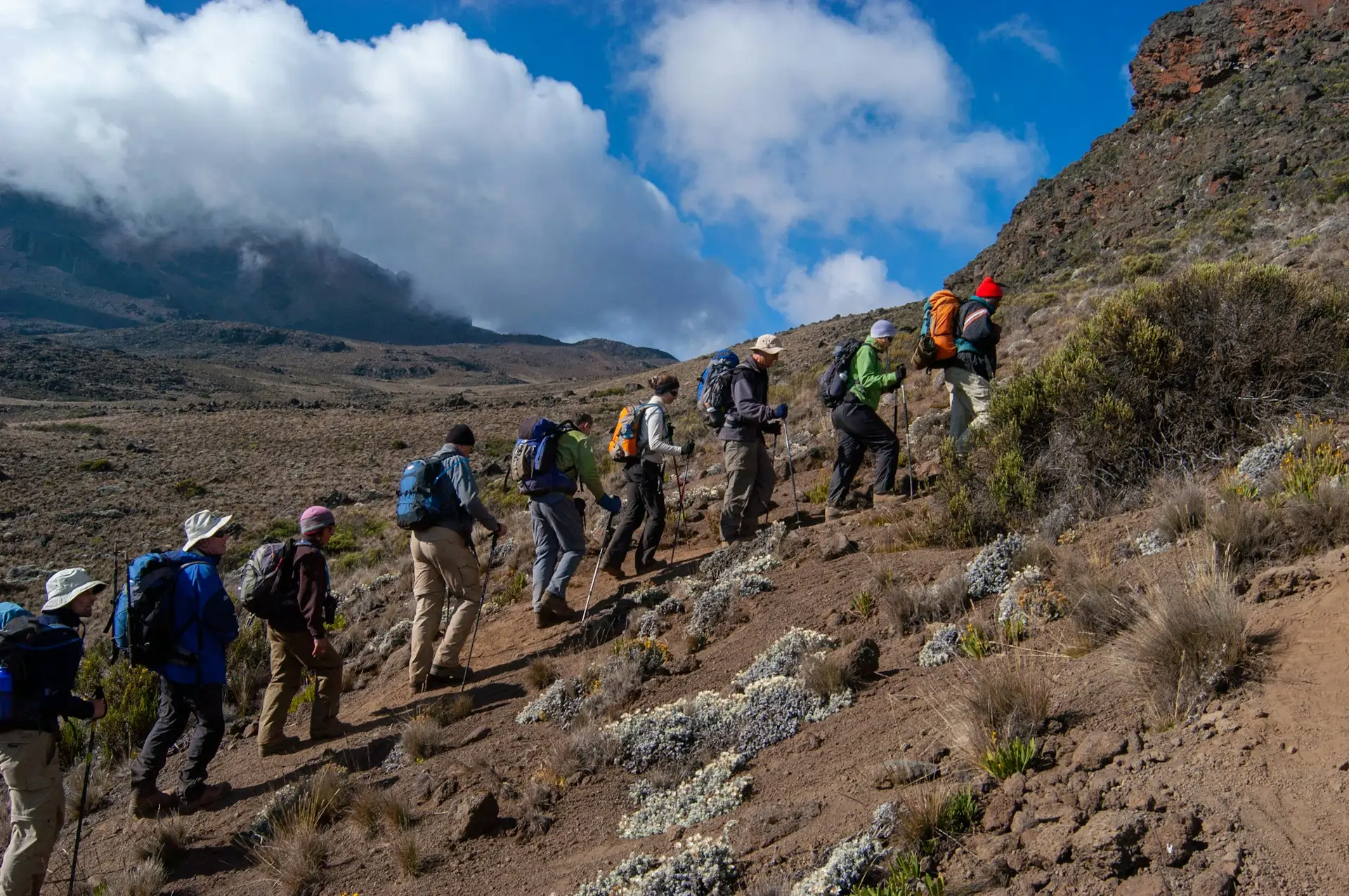 8 Days Kilimanjaro Climb
