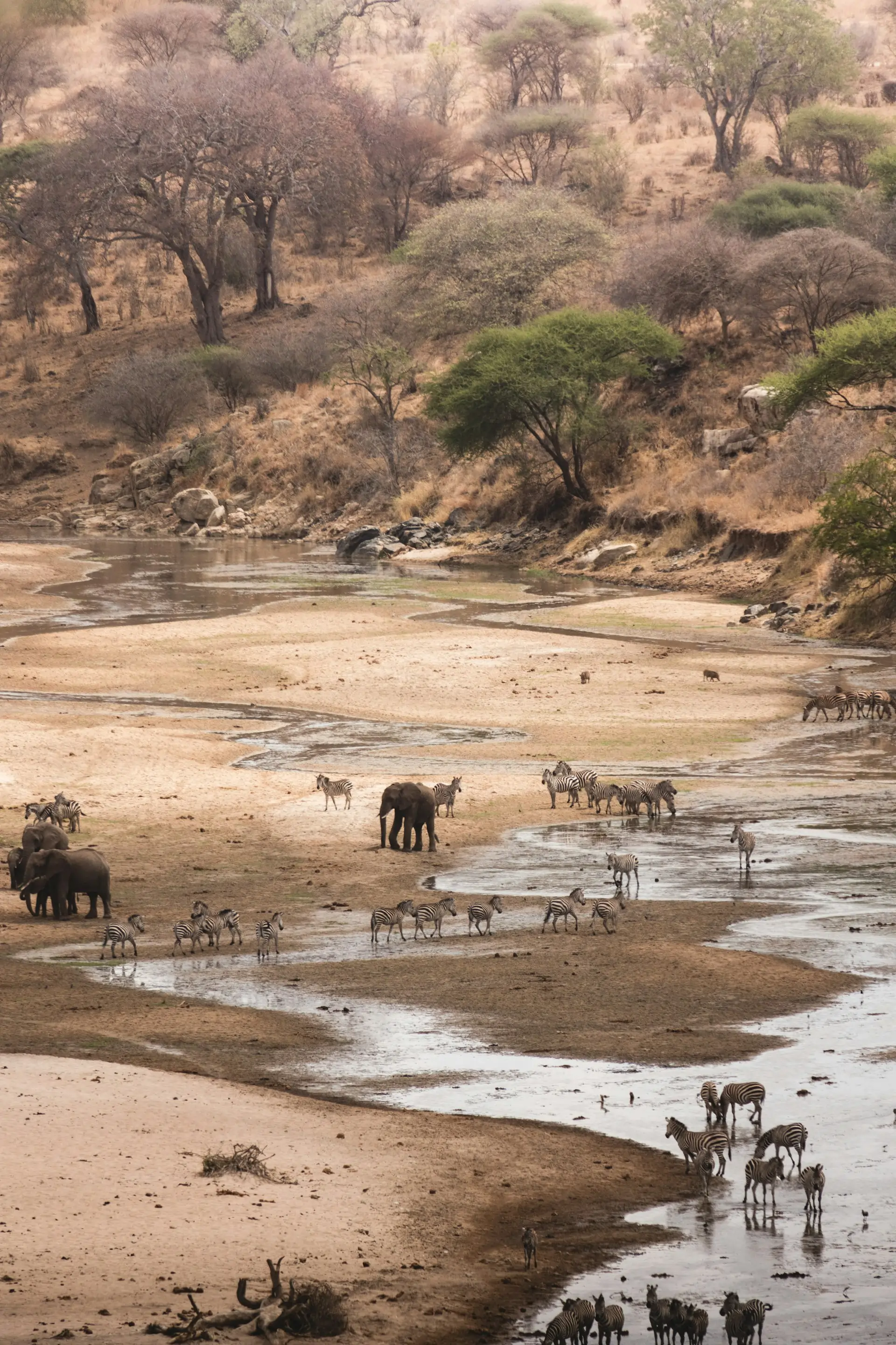 Tarangire National Park