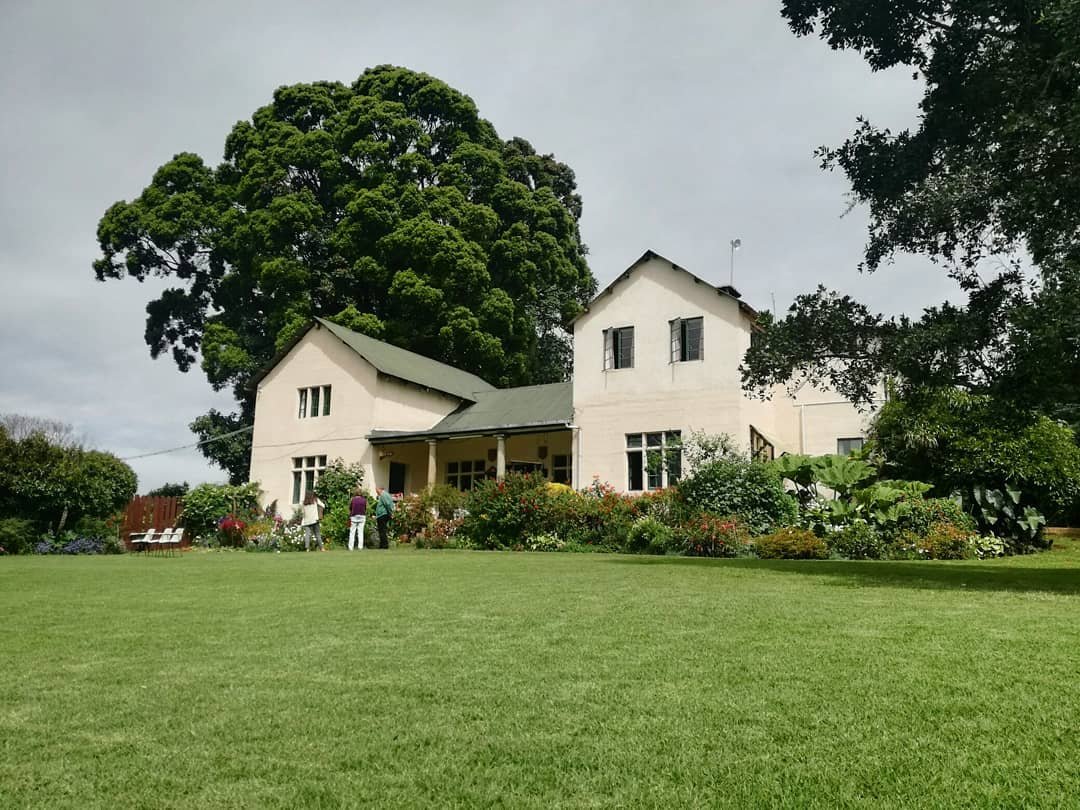 A Taste from the Kenyan Highlands